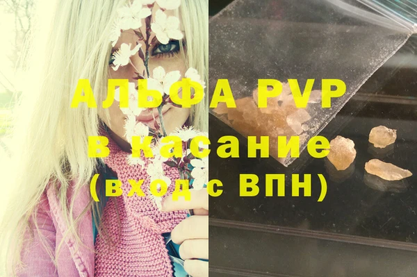 винт Бородино