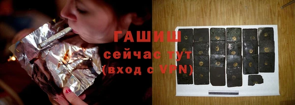 сатива Богданович