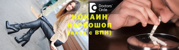 стаф Верея