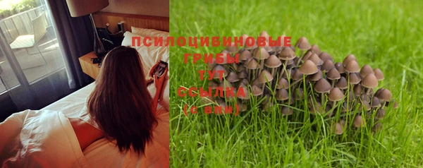винт Бородино