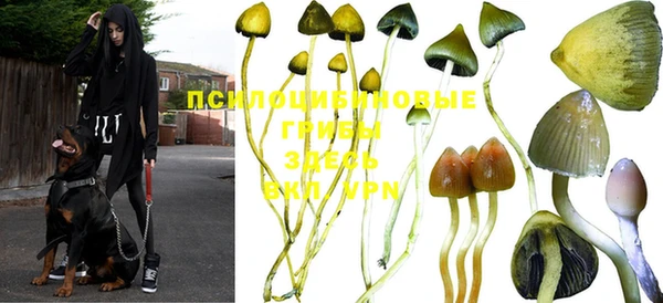 винт Бородино