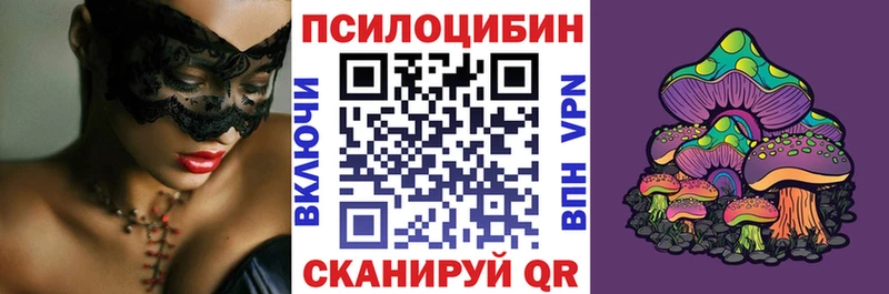 Псилоцибиновые грибы Psilocybine cubensis  Среднеуральск 