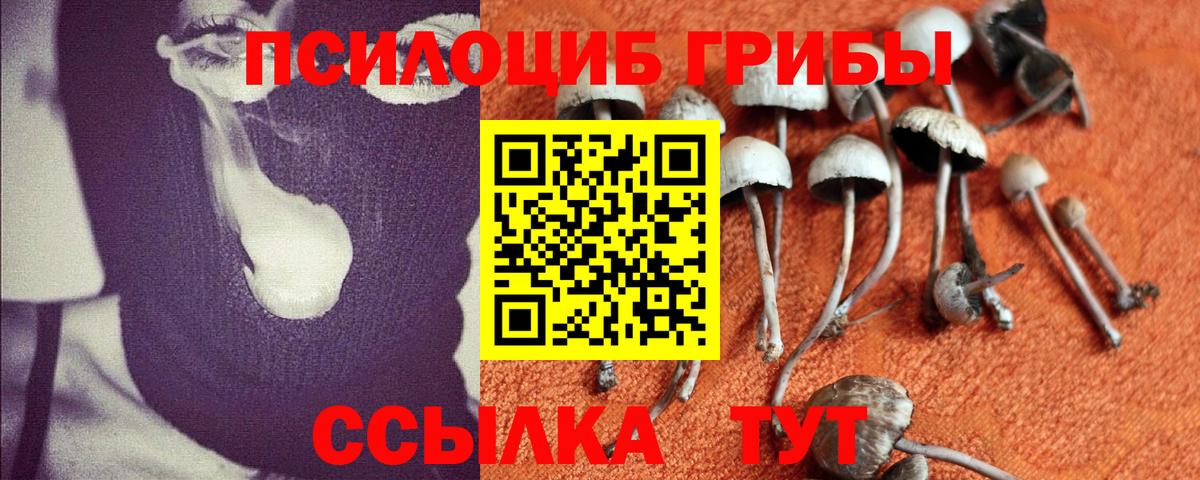 Галлюциногенные грибы прущие грибы Среднеуральск