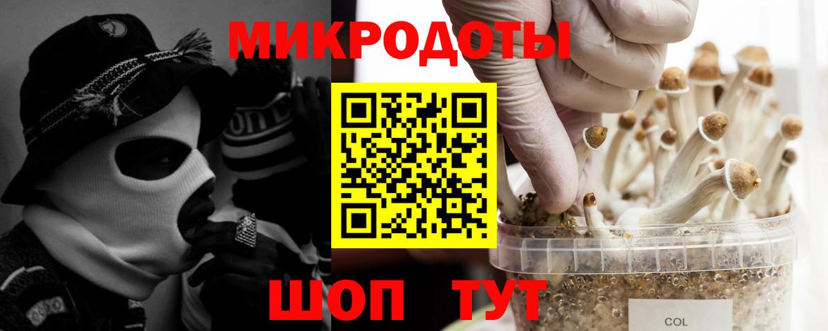 Среднеуральск  Галлюциногенные грибы Cubensis  наркотики  Вход с VPN 